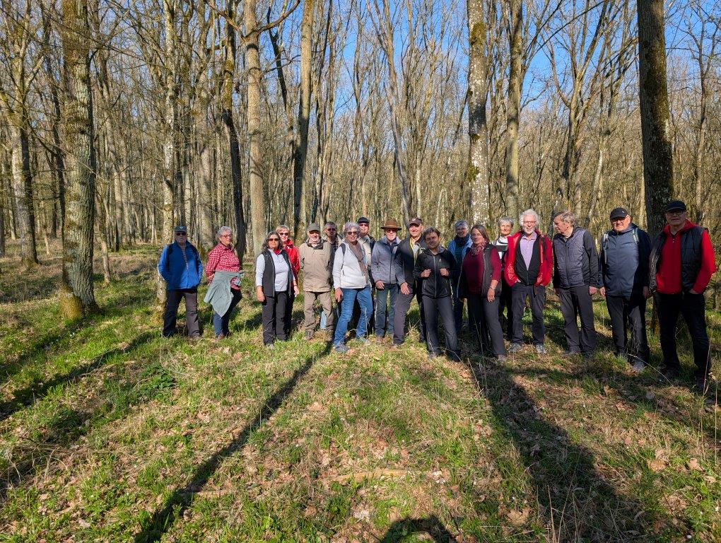 PXL_20250403_080354271