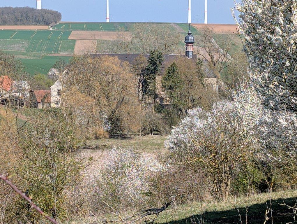 PXL_20250403_095014373