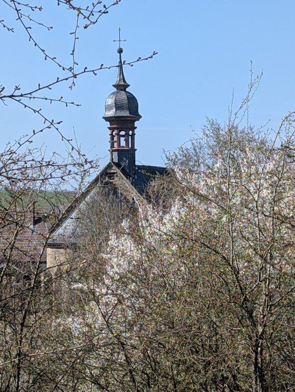 PXL_20250403_095909647